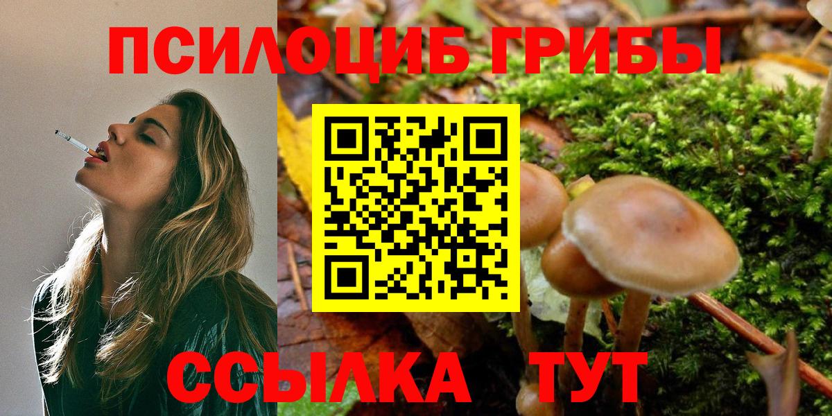 Галлюциногенные грибы GOLDEN TEACHER Краснодар