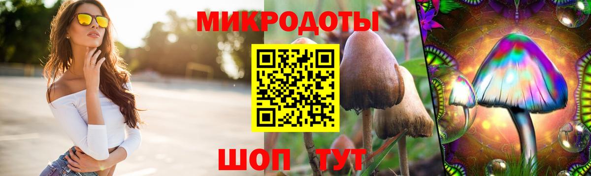 Краснодар  Псилоцибиновые грибы ЛСД  Вход с VPN  Псилоцибиновые грибы GOLDEN TEACHER 